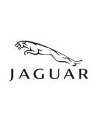 Jaguar Ribbon Cables